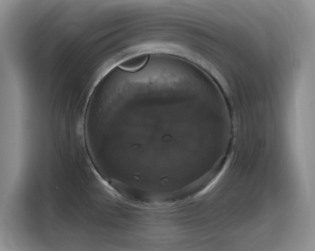 X0000114581529200910191513