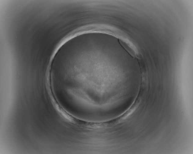 X0000114581530200910191513