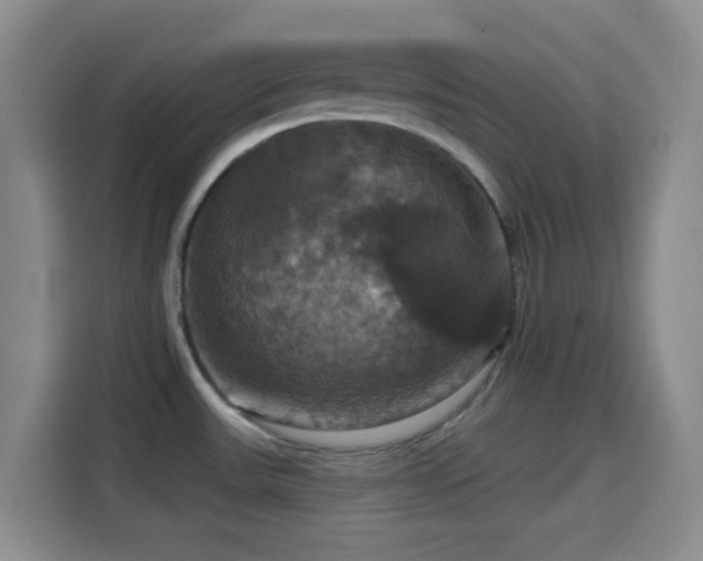 X0000114581531200910191513