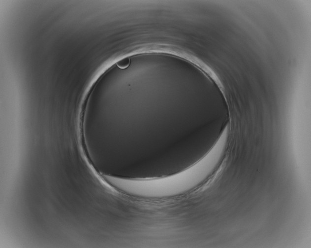 X0000114581533200910191513