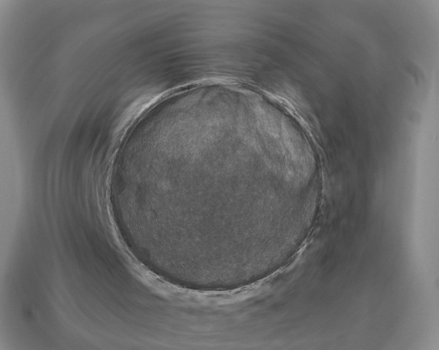 X0000114580001200911091245