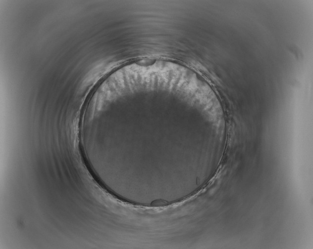 X0000114580002200911091245