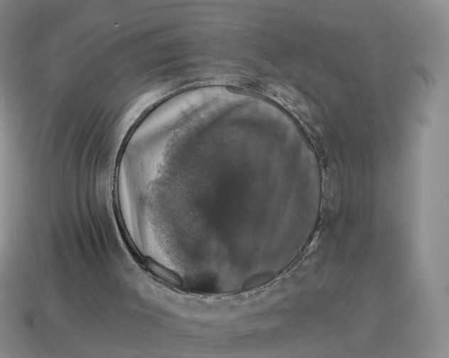 X0000114580003200911091245