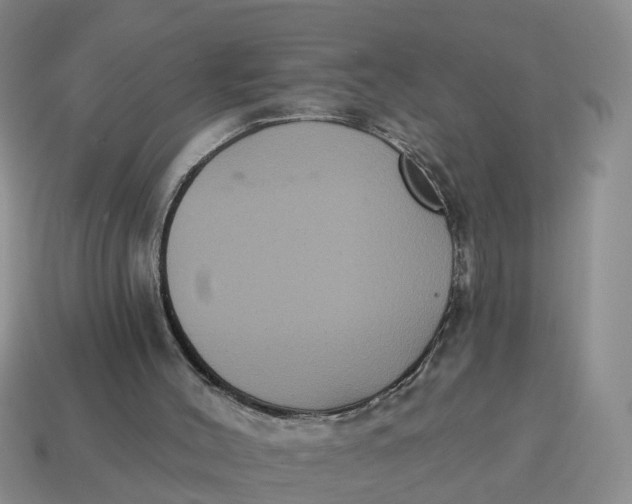 X0000114580004200911091245