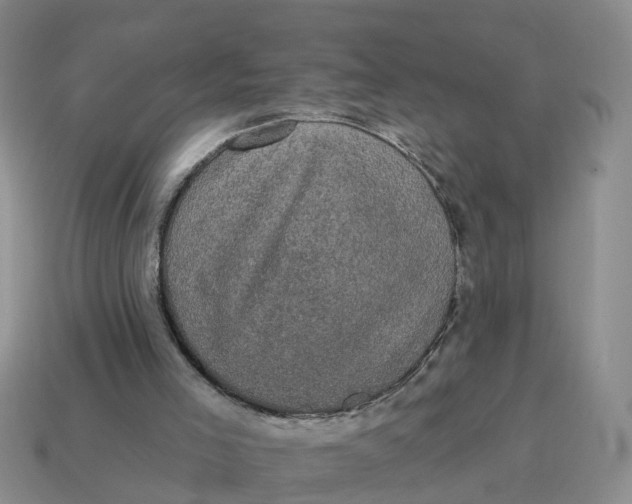 X0000114580005200911091245