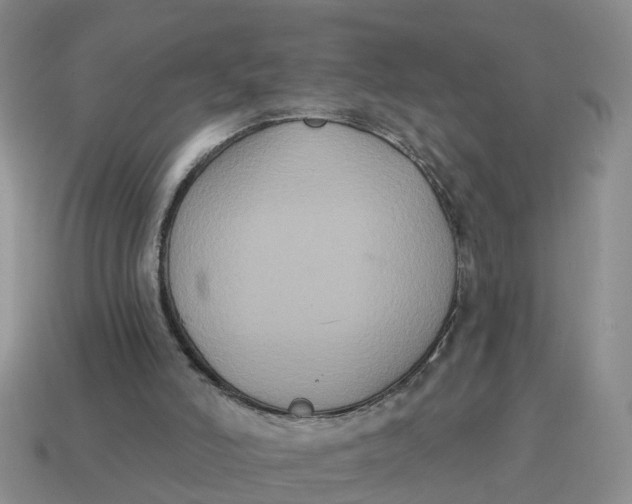 X0000114580006200911091245