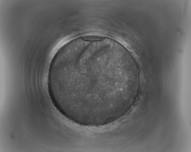 X0000114580007200911091245