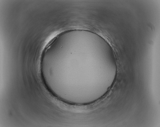 X0000114580008200911091245