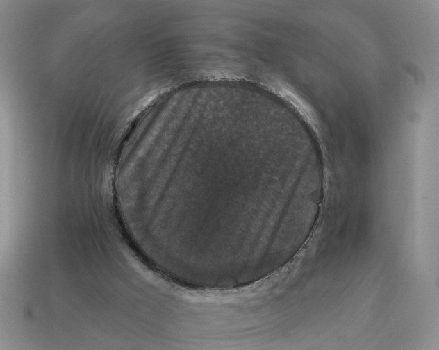 X0000114580009200911091245