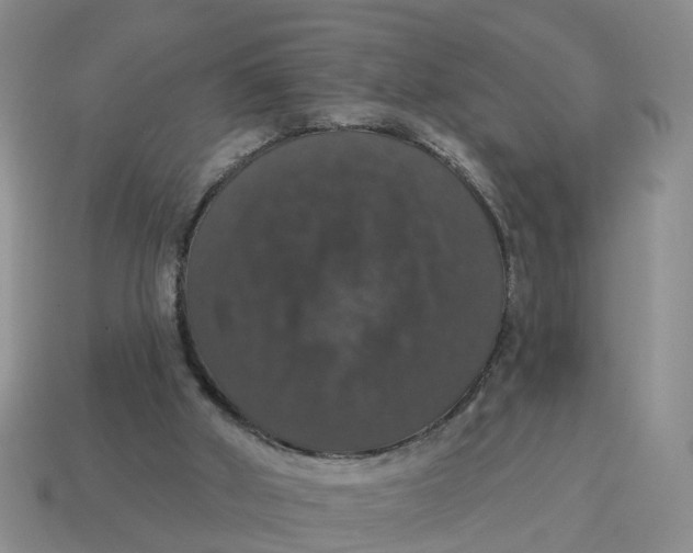 X0000114580010200911091245