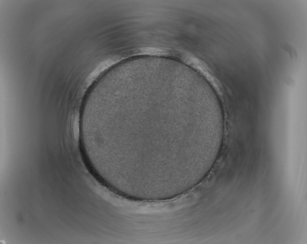 X0000114580011200911091245