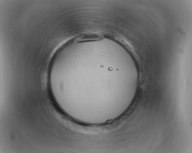 X0000114580012200911091245