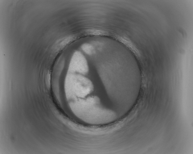 X0000114580014200911091245