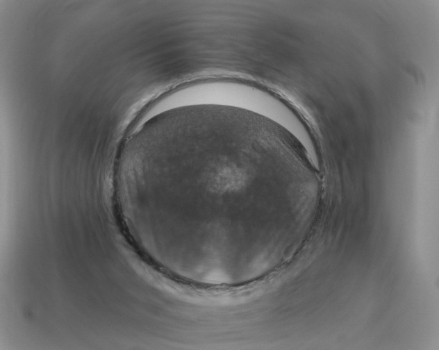 X0000114580015200911091245