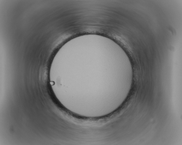 X0000114580016200911091245