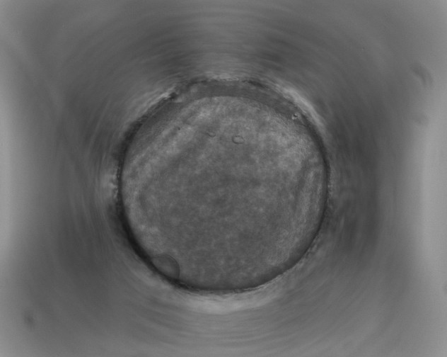 X0000114580017200911091245