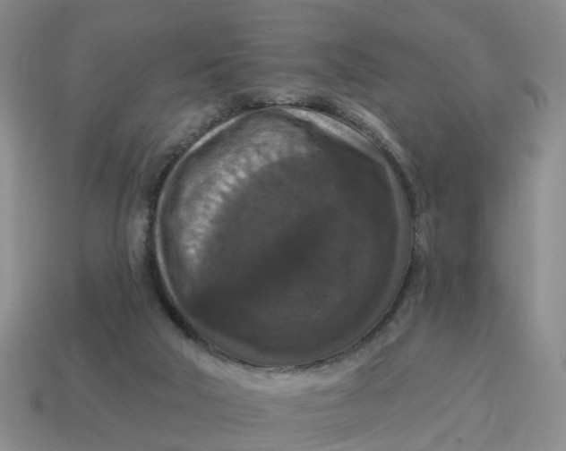 X0000114580018200911091245