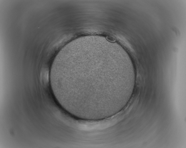 X0000114580021200911091245