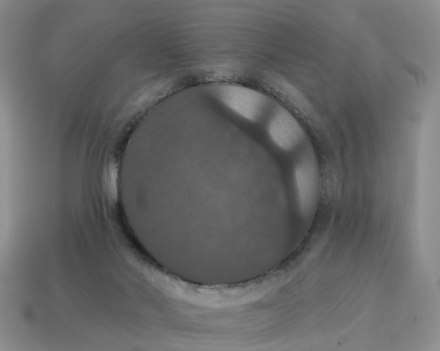 X0000114580022200911091245