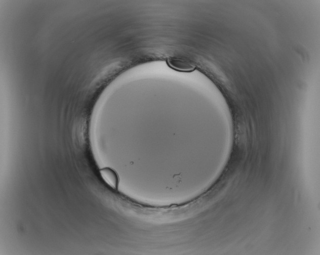 X0000114580023200911091245