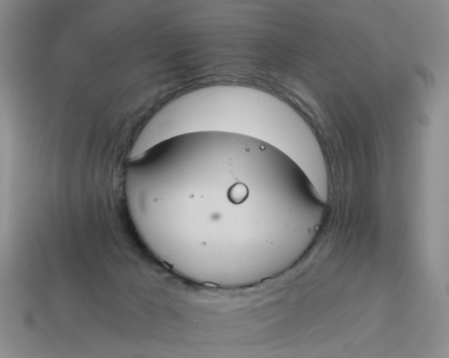 X0000114580029200911091245