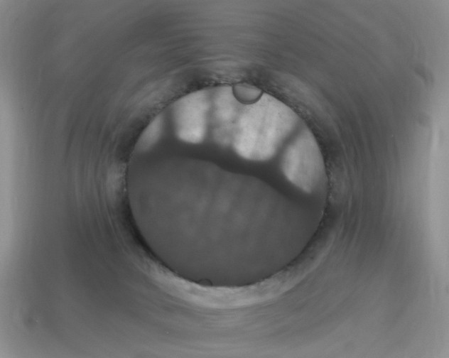 X0000114580034200911091245