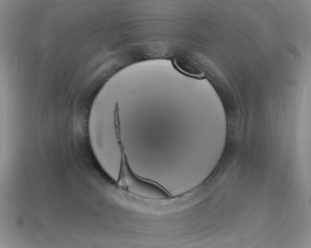 X0000114580035200911091245