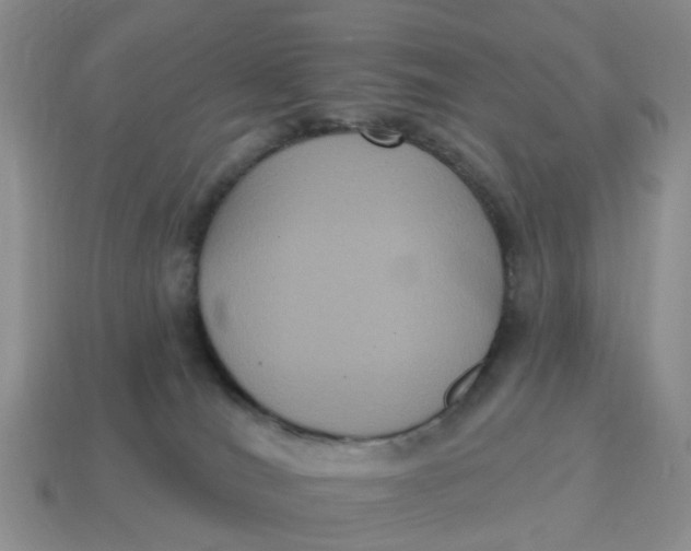 X0000114580036200911091245