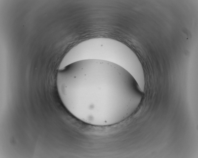 X0000114580037200911091245