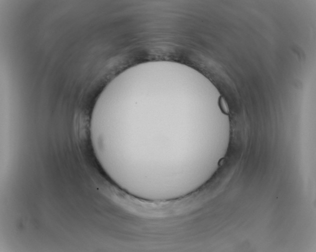 X0000114580038200911091245