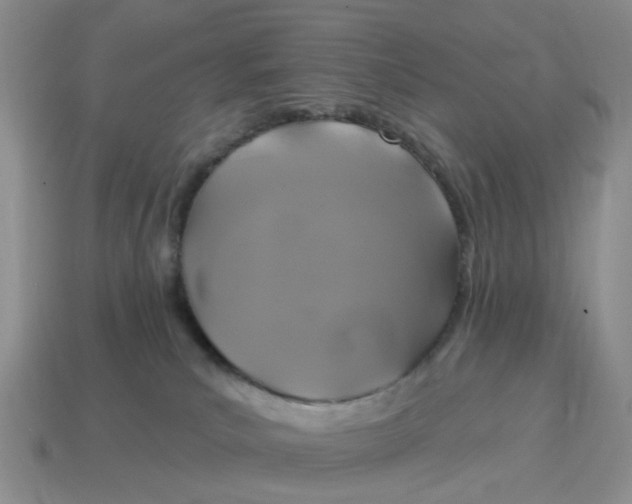 X0000114580039200911091245