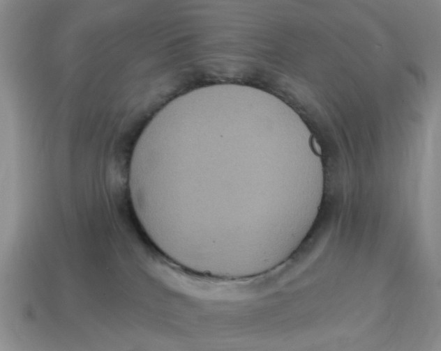 X0000114580040200911091245