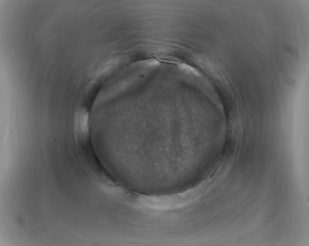 X0000114580041200911091245