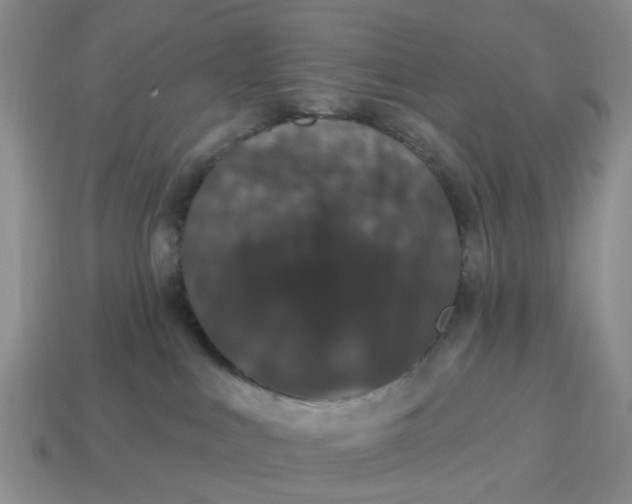 X0000114580043200911091245