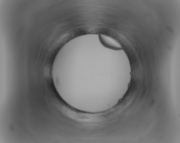 X0000114580044200911091245