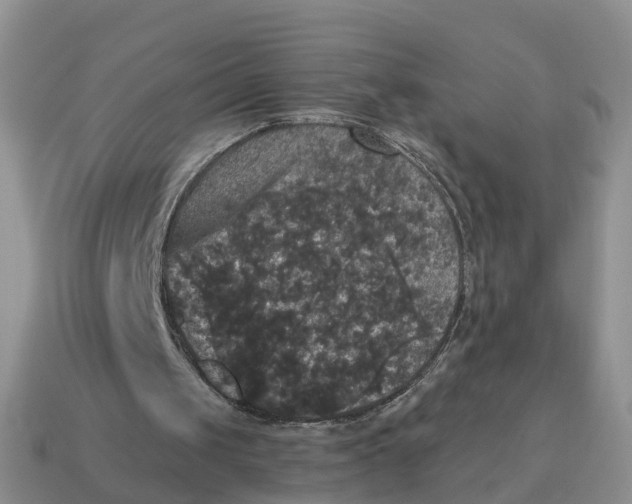 X0000114580049200911091244