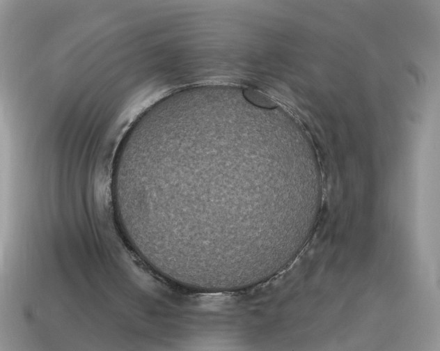 X0000114580050200911091244