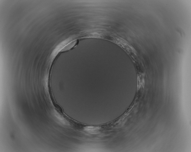 X0000114580051200911091244