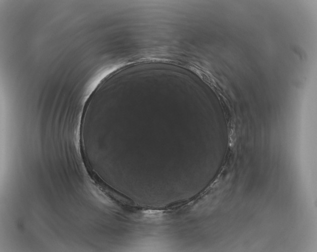 X0000114580052200911091244