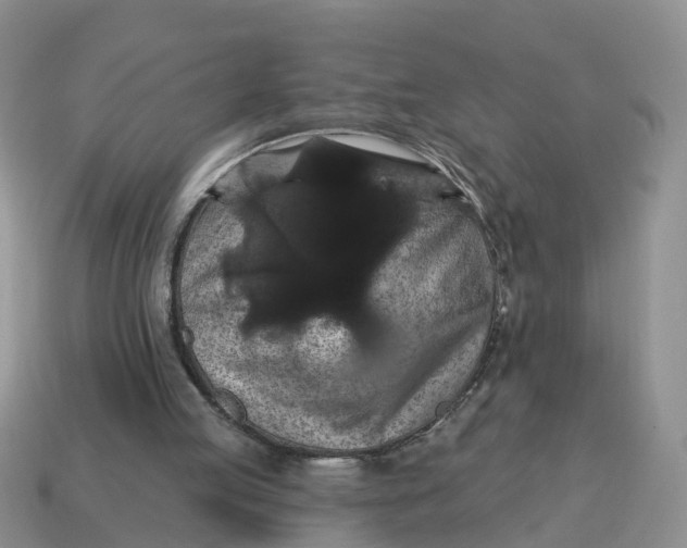 X0000114580053200911091244