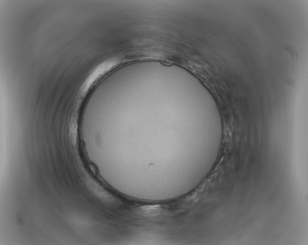 X0000114580054200911091244