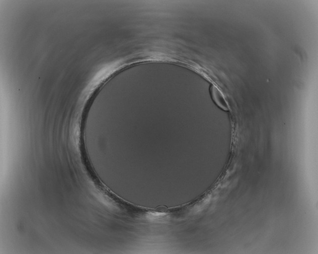 X0000114580055200911091244