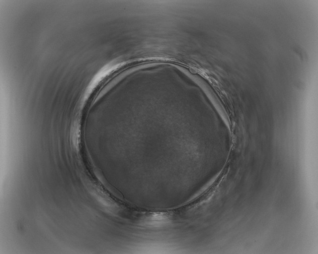 X0000114580056200911091244