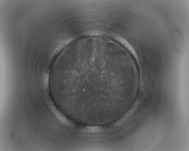 X0000114580057200911091244