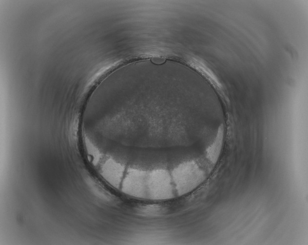 X0000114580058200911091244