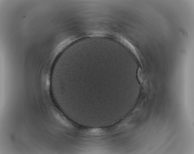 X0000114580059200911091244