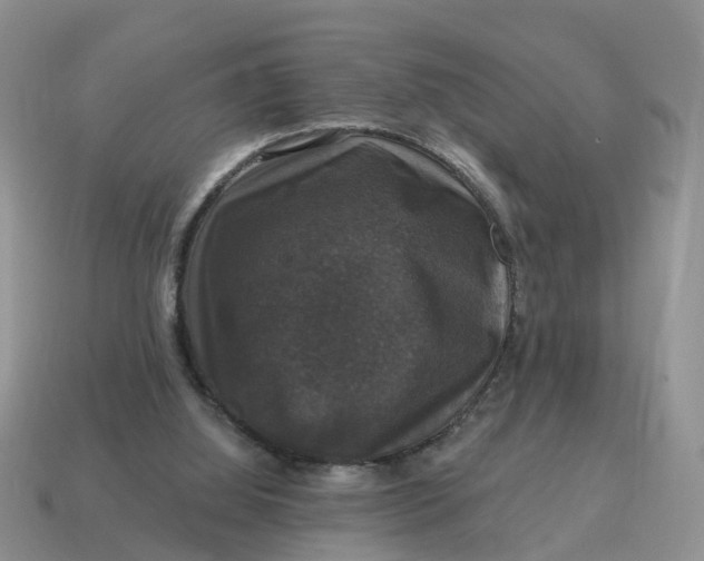 X0000114580060200911091244