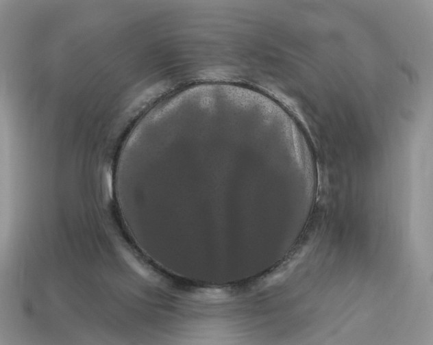 X0000114580061200911091244