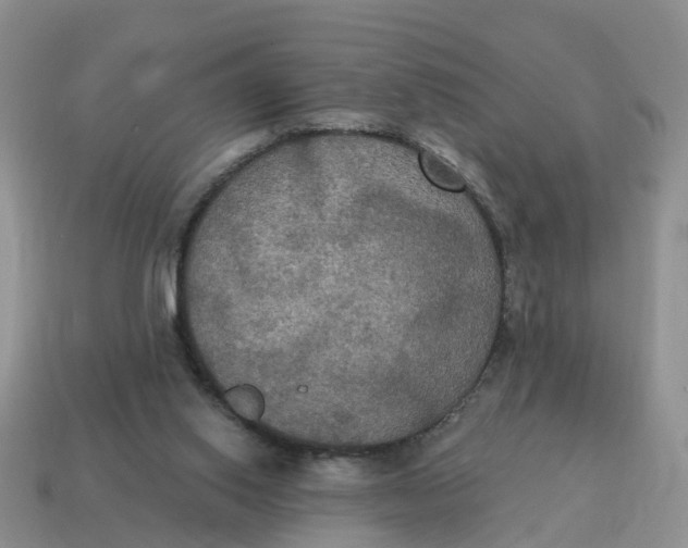 X0000114580062200911091244