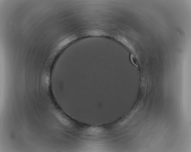 X0000114580063200911091244